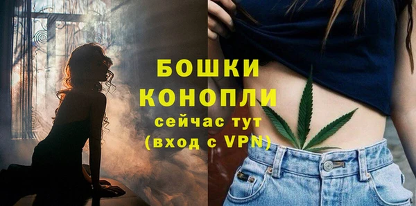стаф Белоозёрский